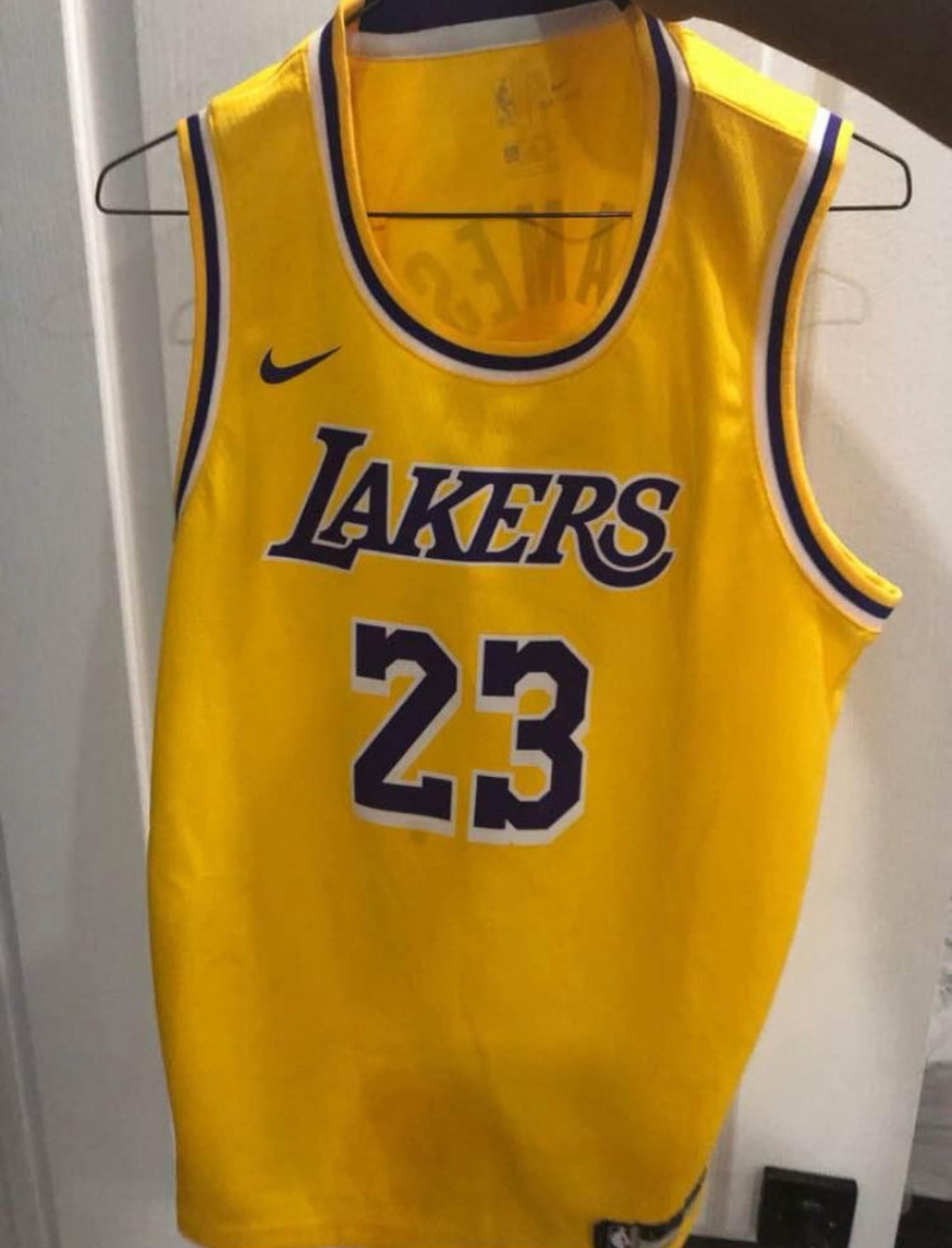 Lebron James Los Angeles Lakers Jersey Karrot