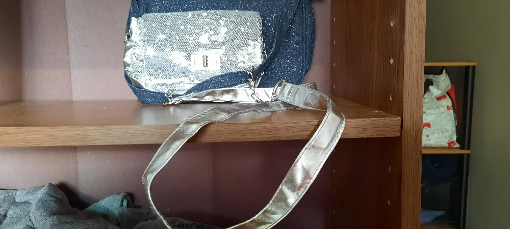Silver purse thumbnail