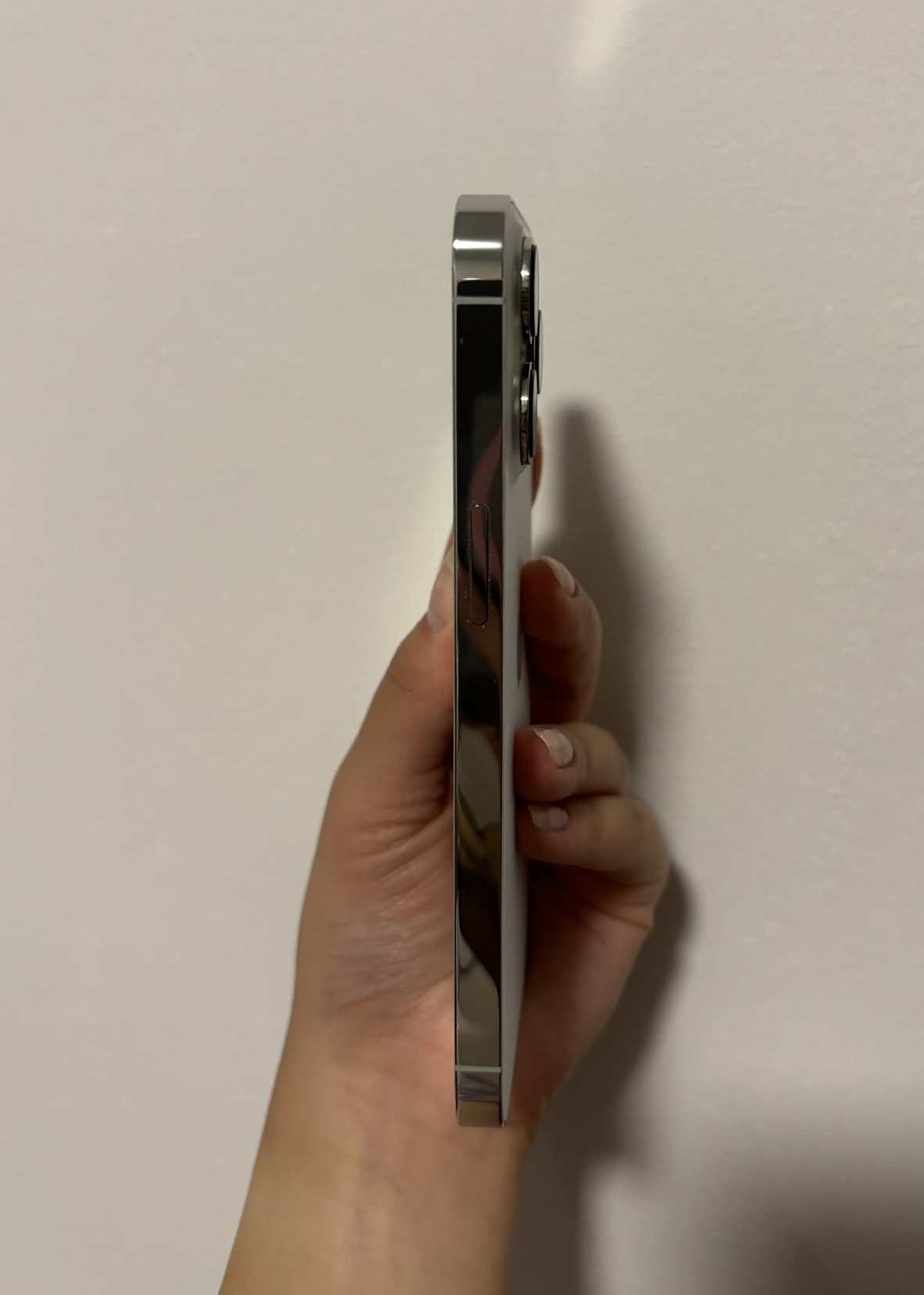 iPhone 13 Pro/Silver/256GB - photo 5