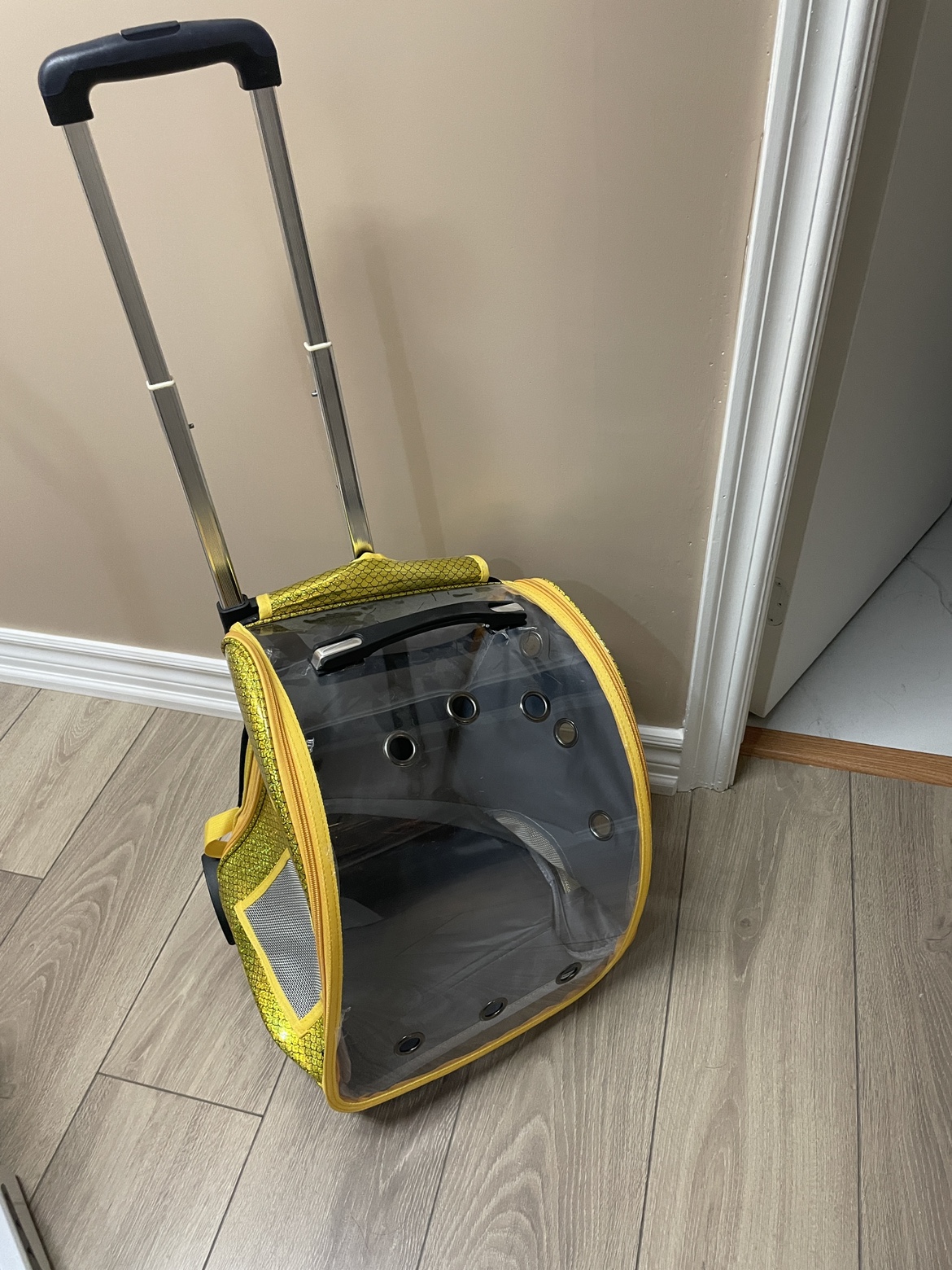 Pet Carrier Rolling Backpack