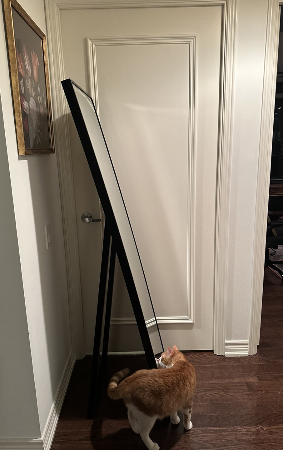 Full Length Mirror