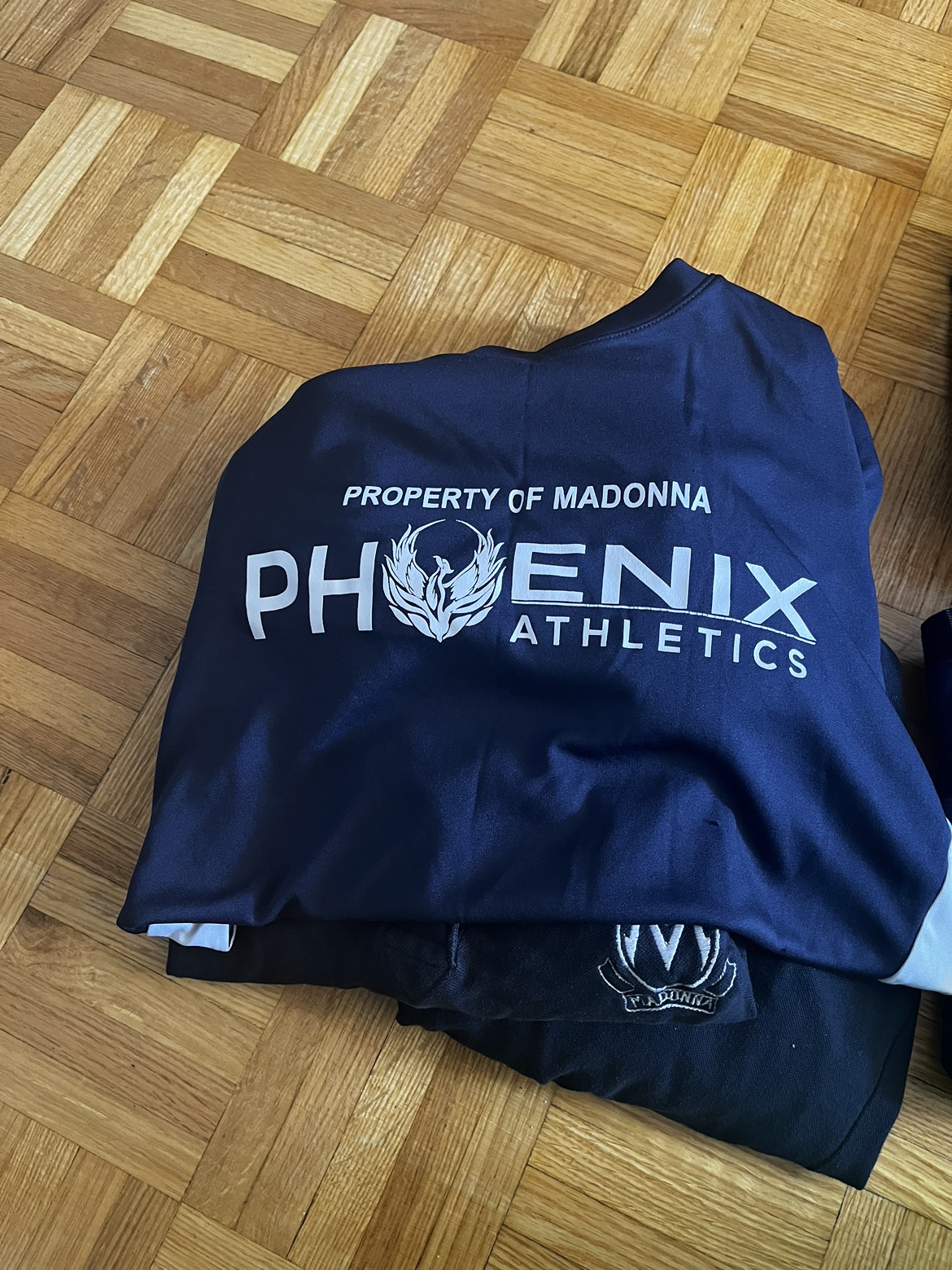 Madonna Catholic School Sweater