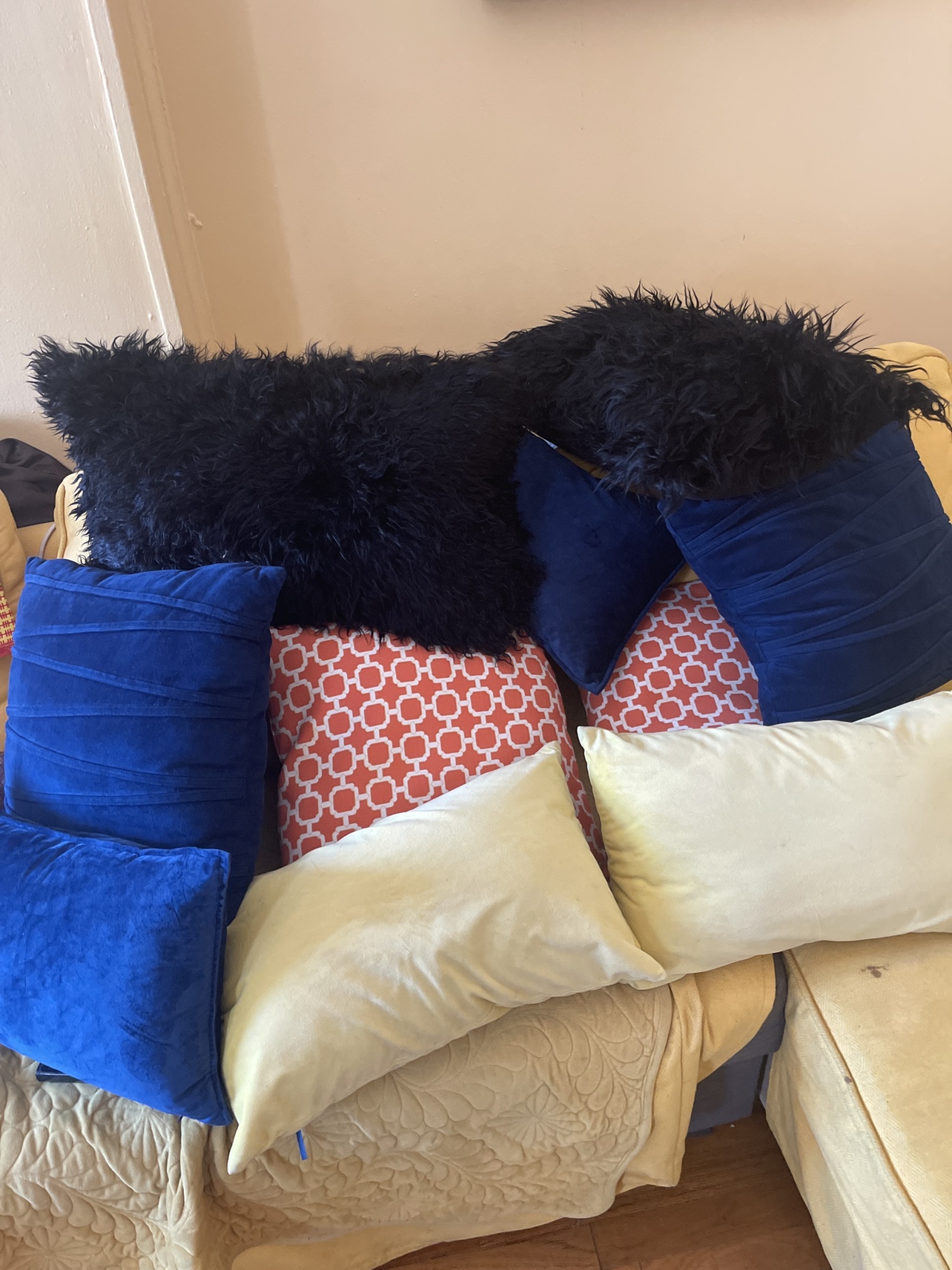 Throw Pillow Set