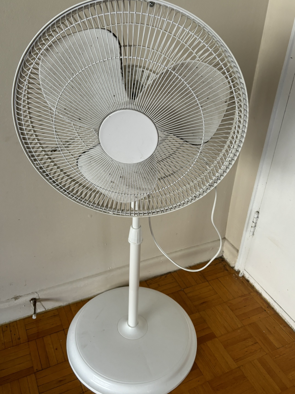 Stand Up Fan