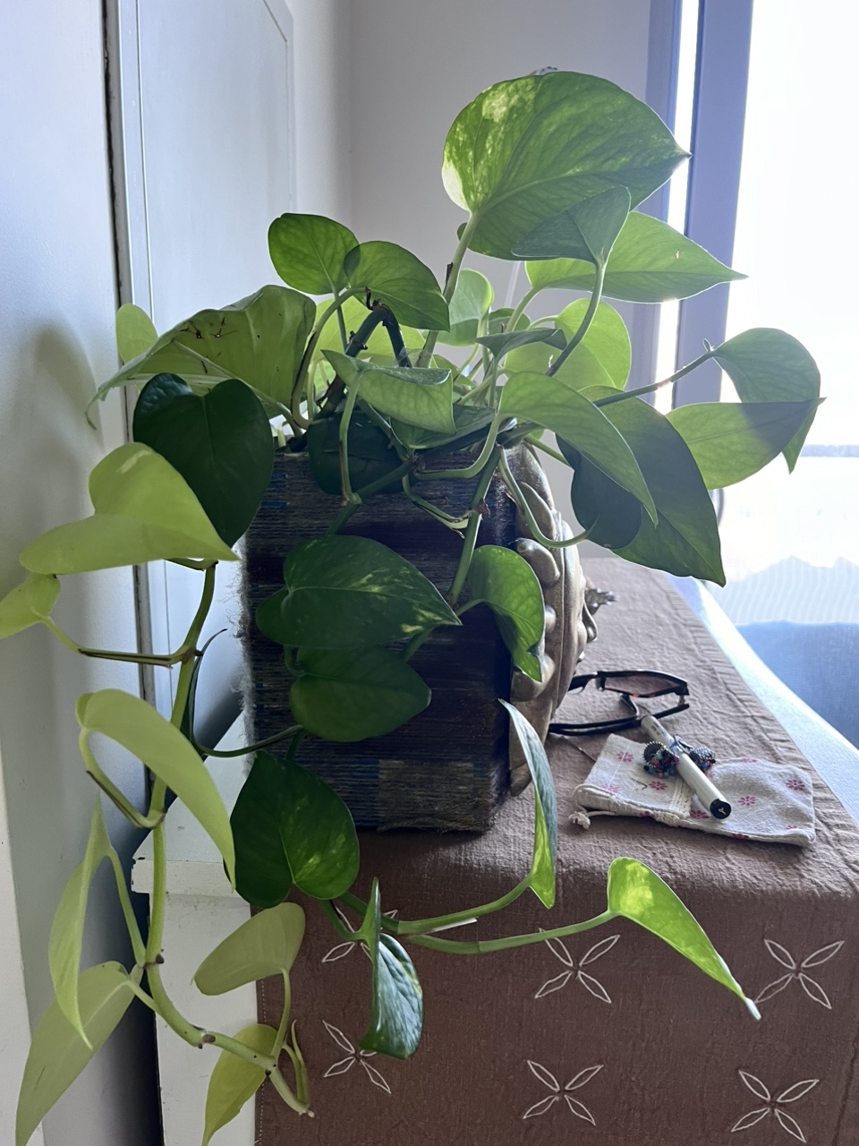 Plants - photo 3