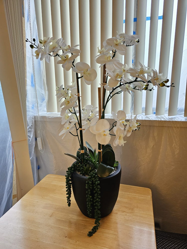 Faux Orchid Arrangement 36" with Succulents in Black Pot
