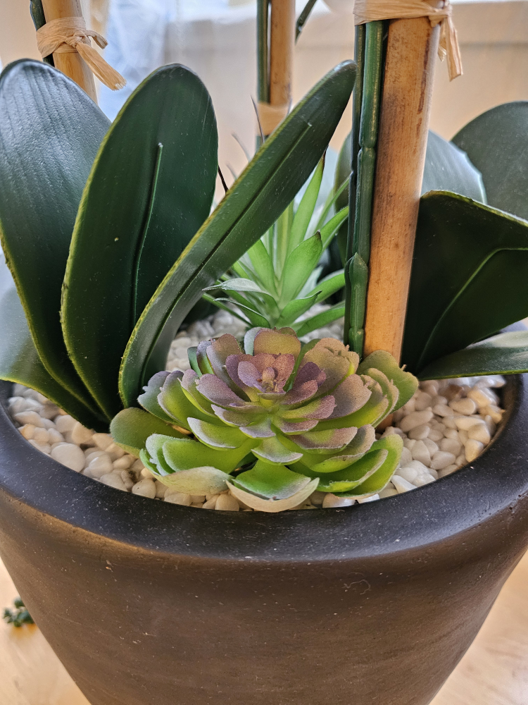 Faux Orchid Arrangement 36" with Succulents in Black Pot - photo 4