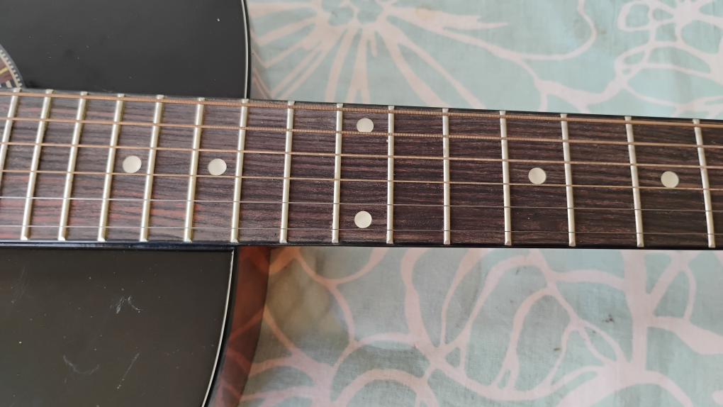Beaver Creek Acoustic Guitar - photo 4