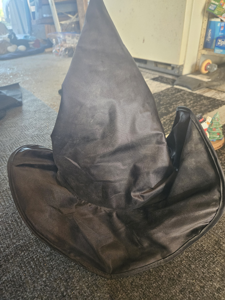 Witch Hat with Wig