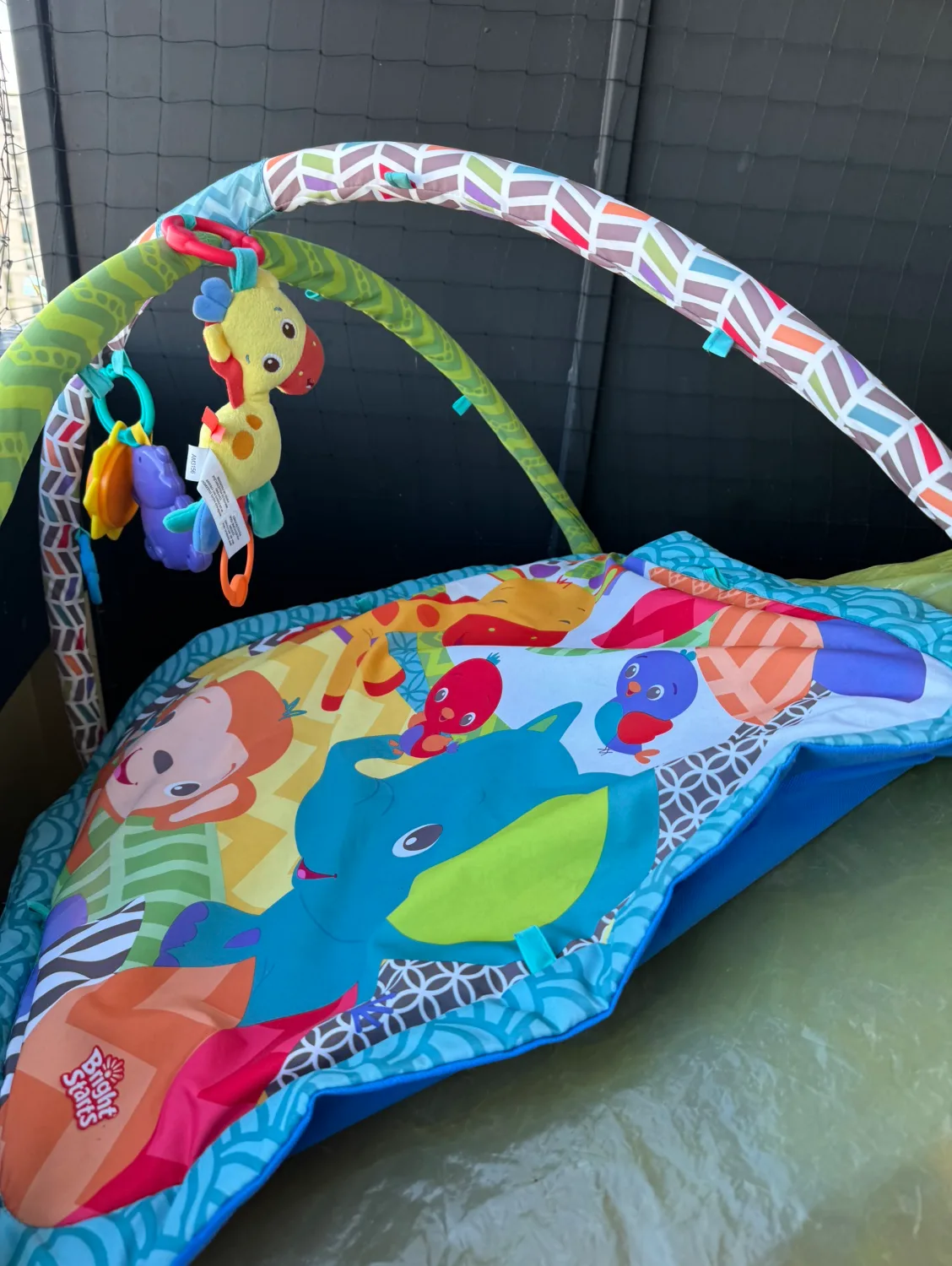 Bright Starts Play Mat thumbnail