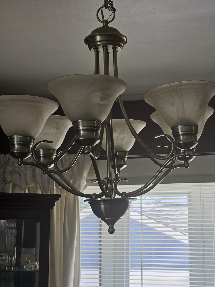 6 Light Chandelier