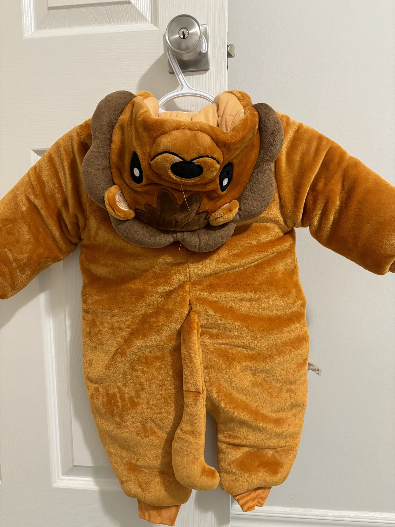 Lion Costume - photo 3