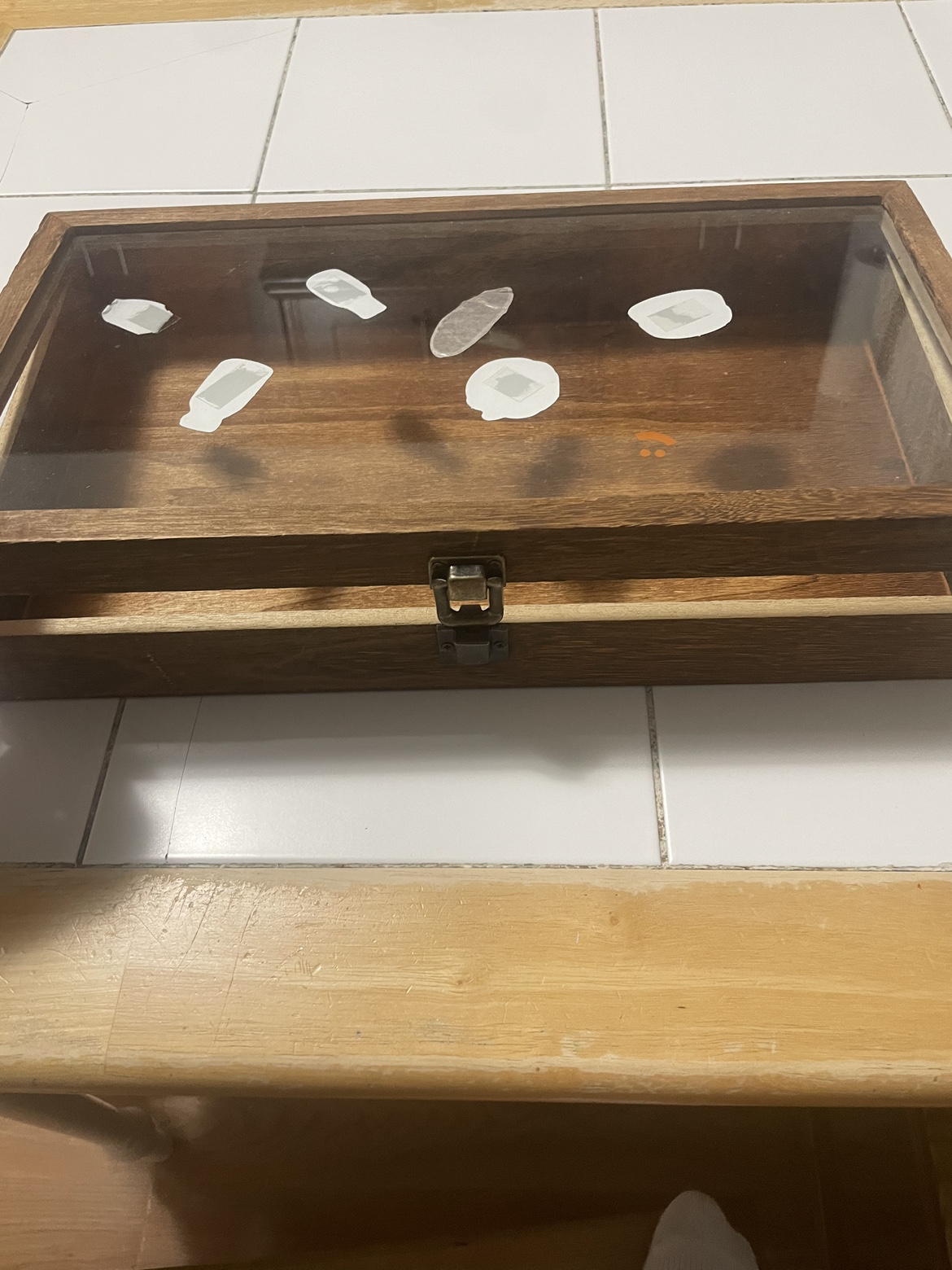 Wooden Display Case #freecycle - photo 3