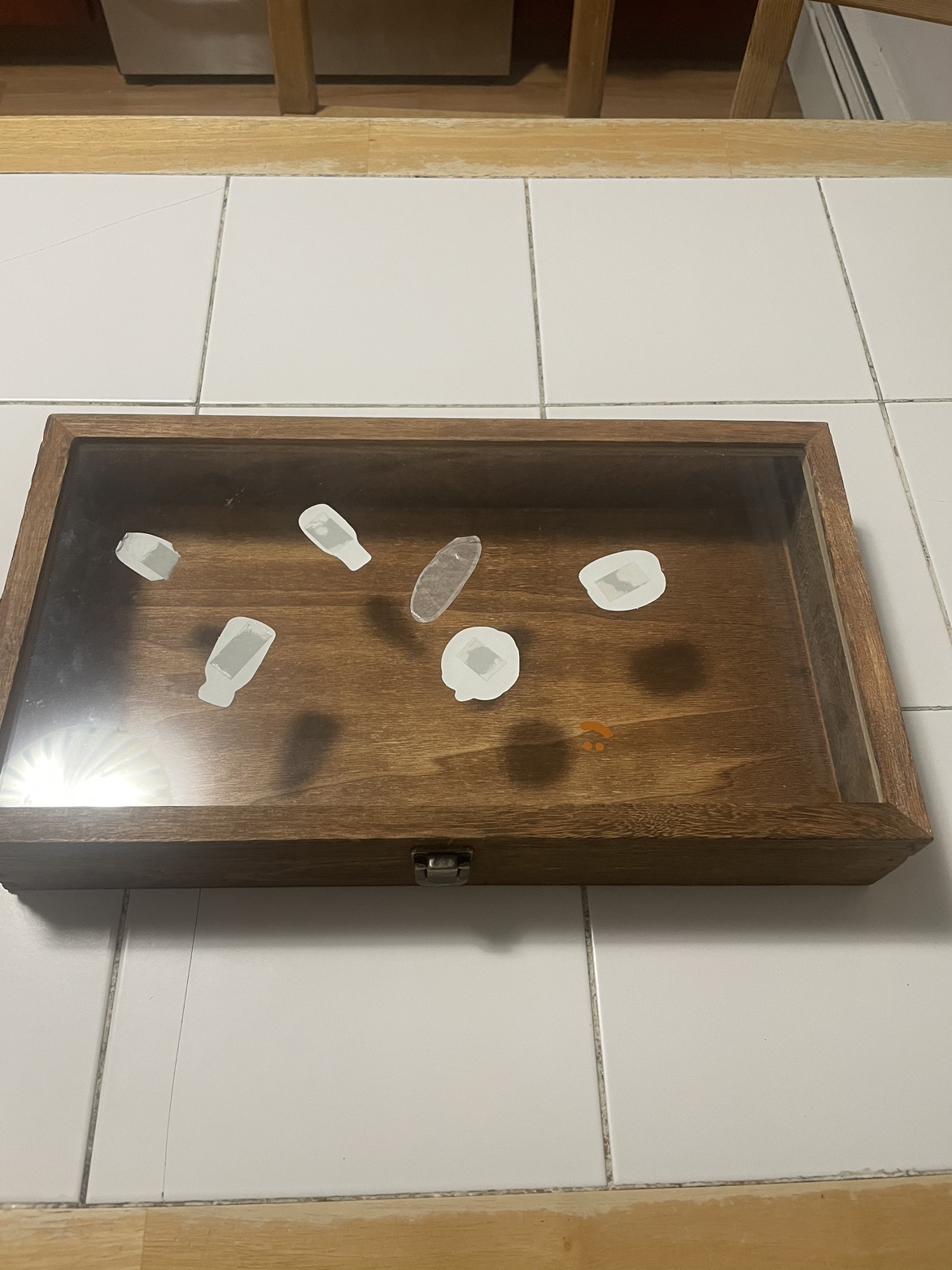 Wooden Display Case #freecycle