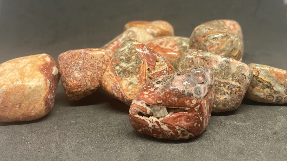 Leopard Jasper Raw & Tumbled Stones image indicator(2)