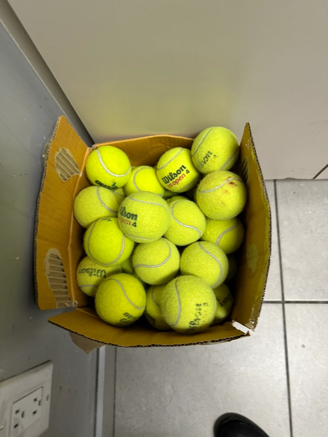 Wilson Tennis Balls - 24 Pack image indicator(6)