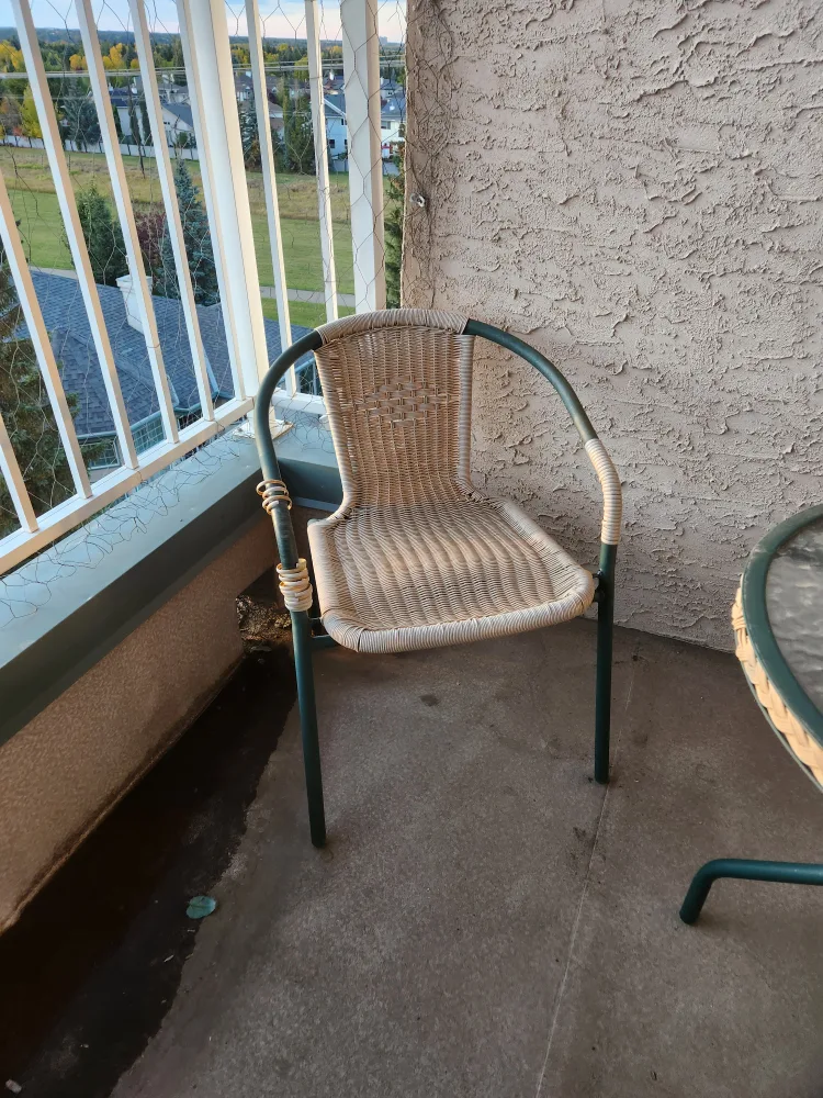 Patio Set image indicator(4)