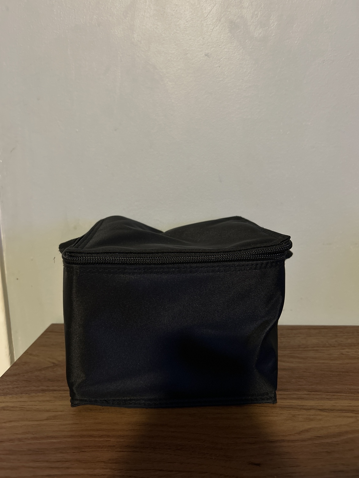 Ameda Cooler Bag #freecycle