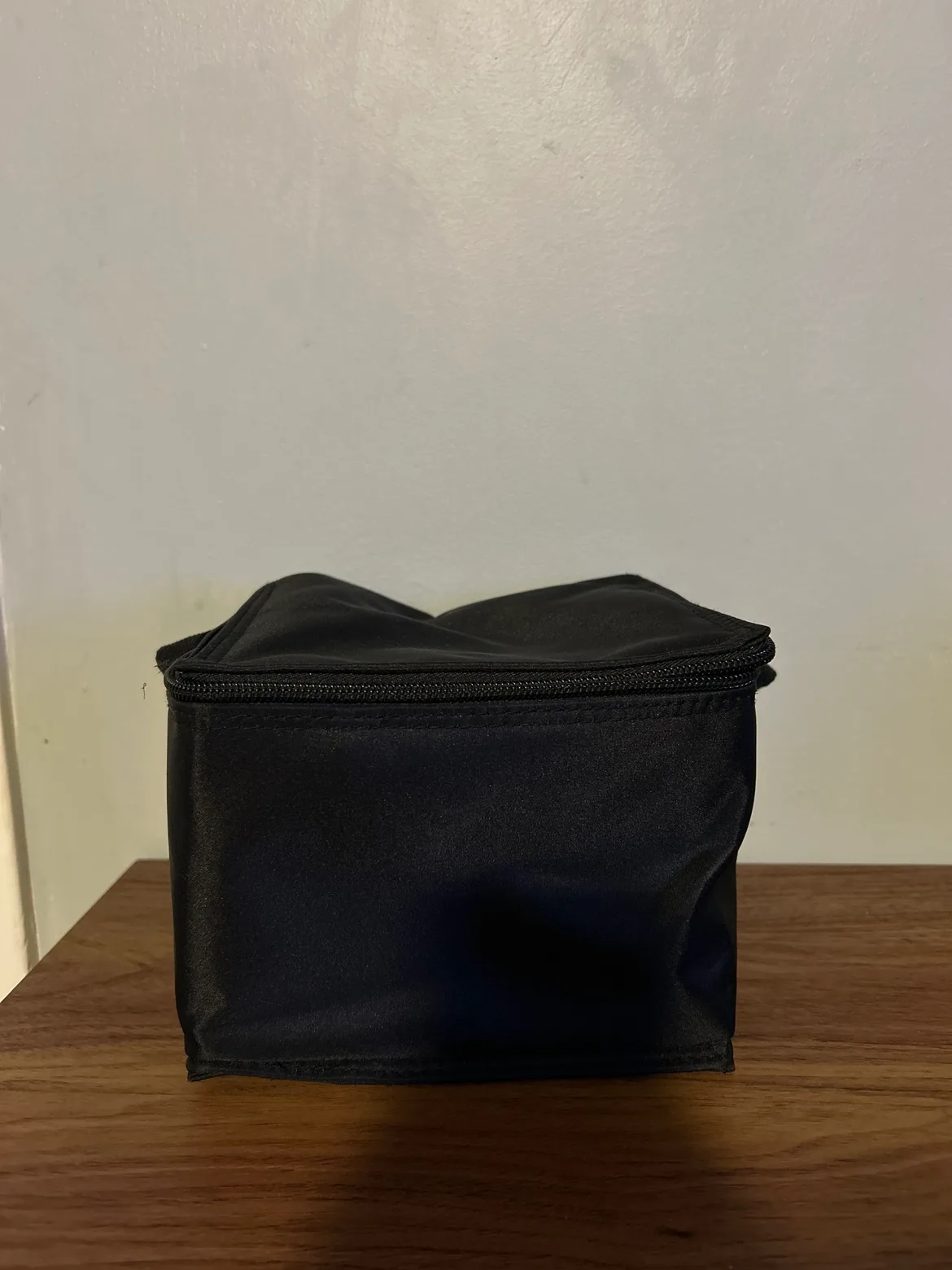 Ameda Cooler Bag #freecycle thumbnail
