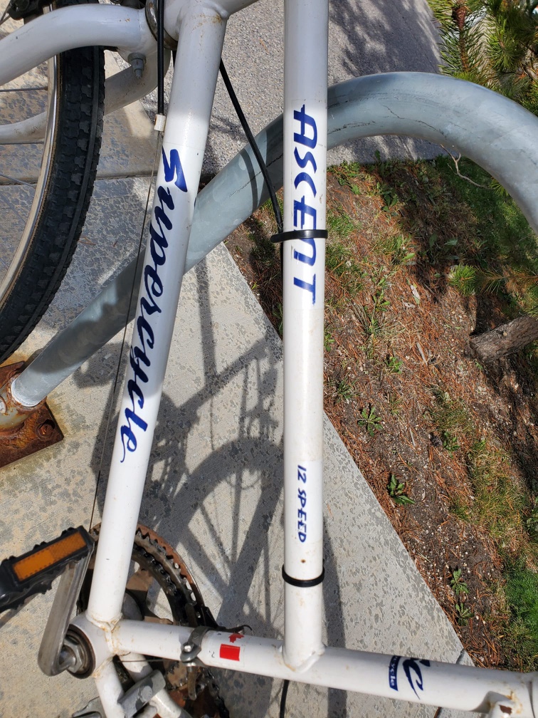 Supercycle Ascent 12 Speed Bike - photo 2