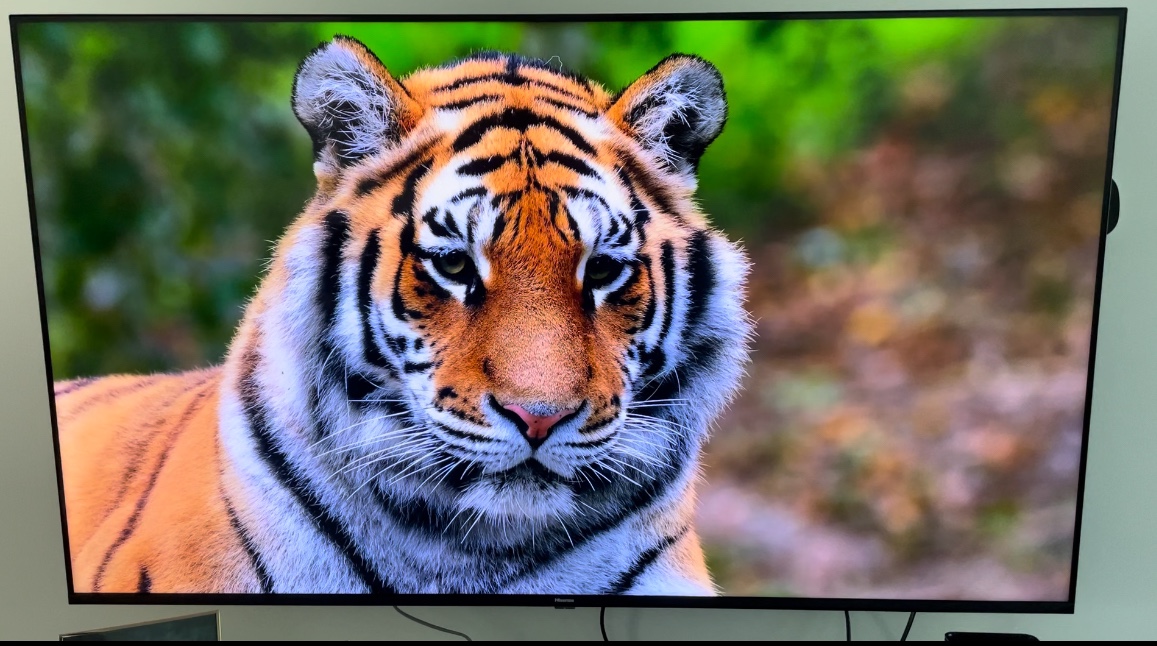 Hisense 65" 4k ULED model 65U68G