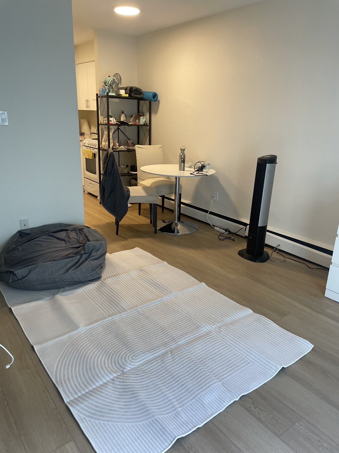 *NEW* never used White and Grey Striped Rug