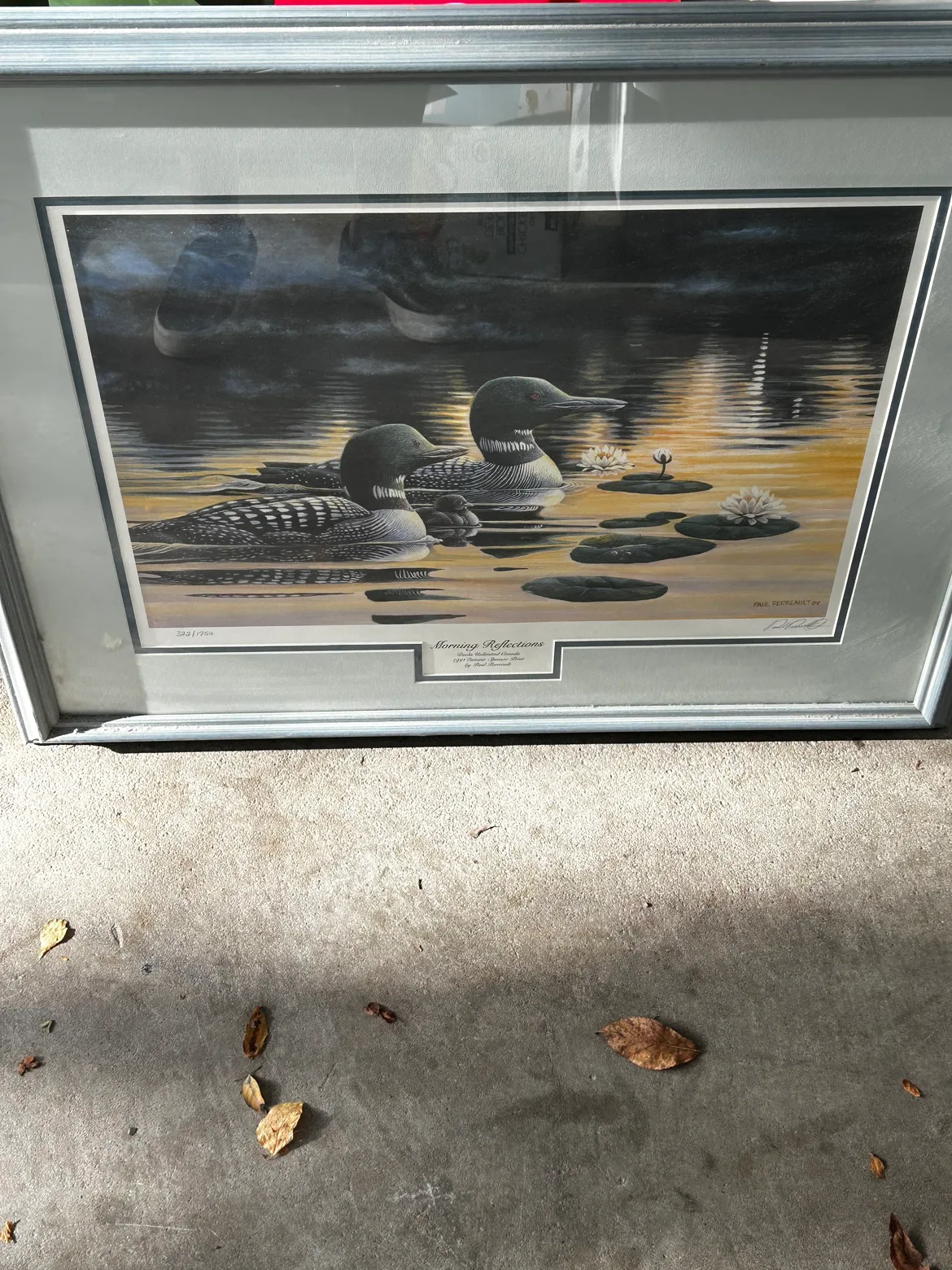 Paul Perrault - Morning Reflections Framed Print image indicator(6)