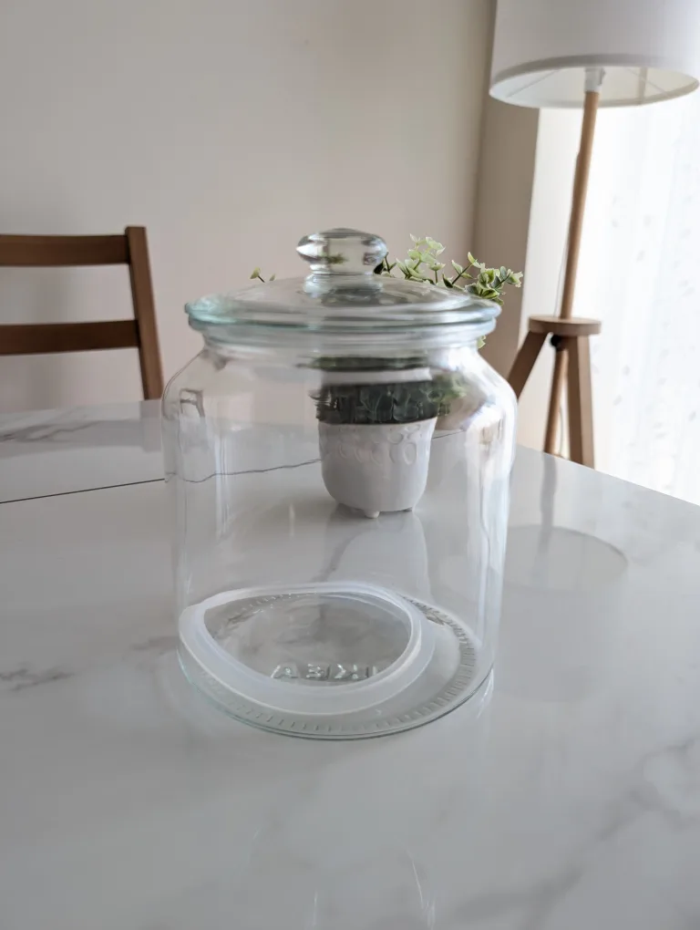 Glass Jar With Lid thumbnail