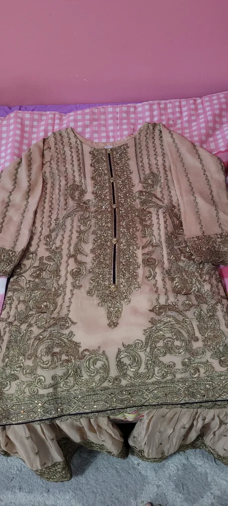Beige Embroidered Pakistani Suit image indicator(3)