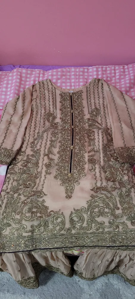 Beige Embroidered Pakistani Suit image indicator(4)