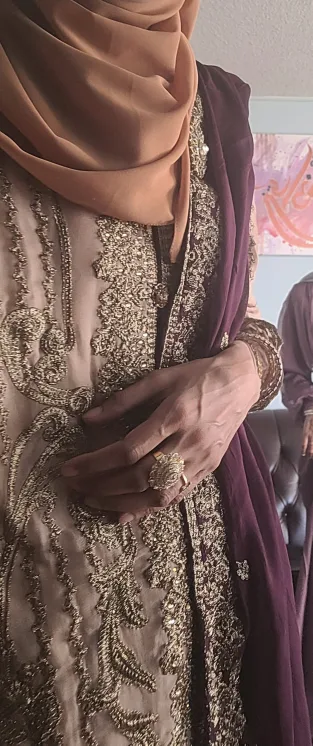 Beige Embroidered Pakistani Suit image indicator(6)