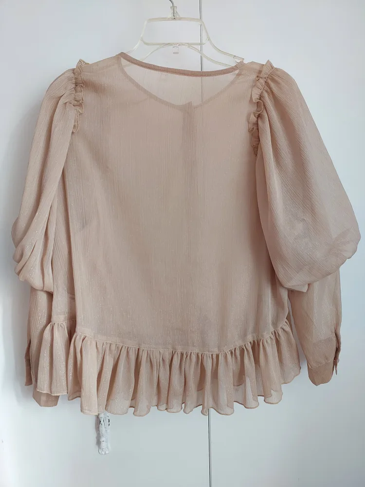 Beige Sheer Ruffle Blouse image indicator(2)