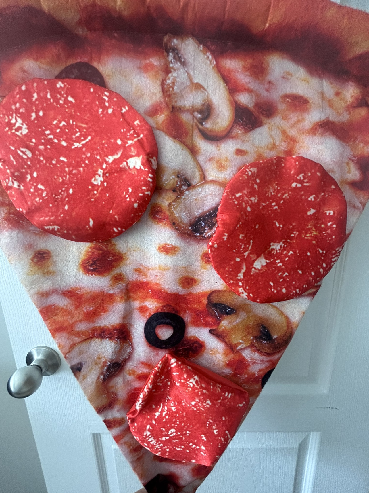 Pizza Slice Costume Halloween - photo 3