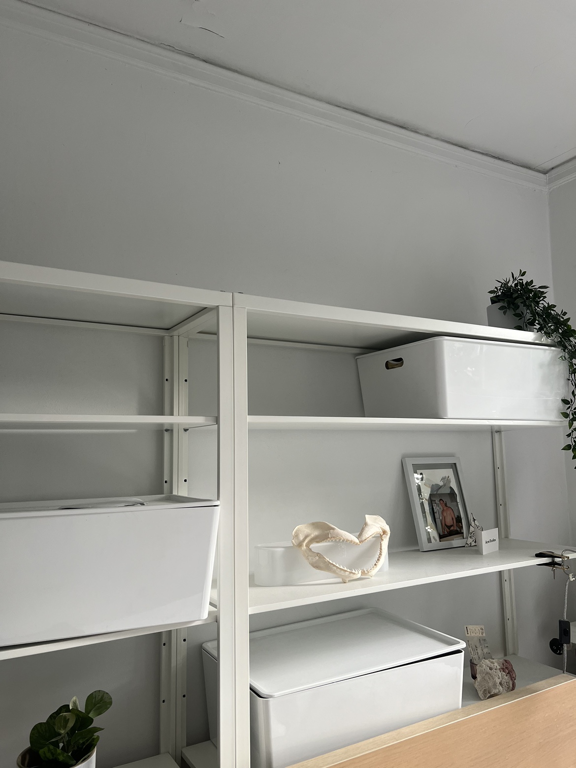 FJÄLKINGE (1of2) Shelving unit, white - photo 2