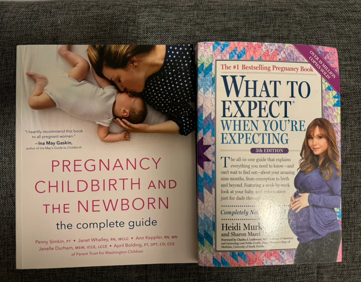Pregnancy, Childbirth and the Newborn: The Complete Guide thumbnail