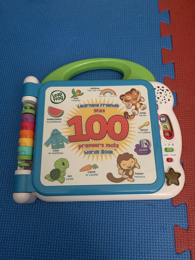 Leap Frog My First 100 Words Book