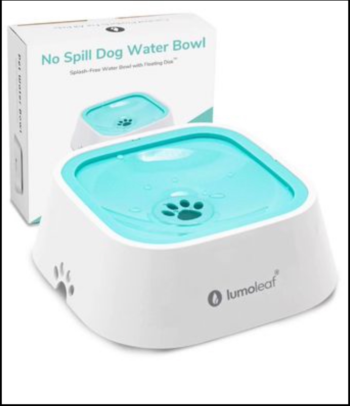 Pet Water Bowl