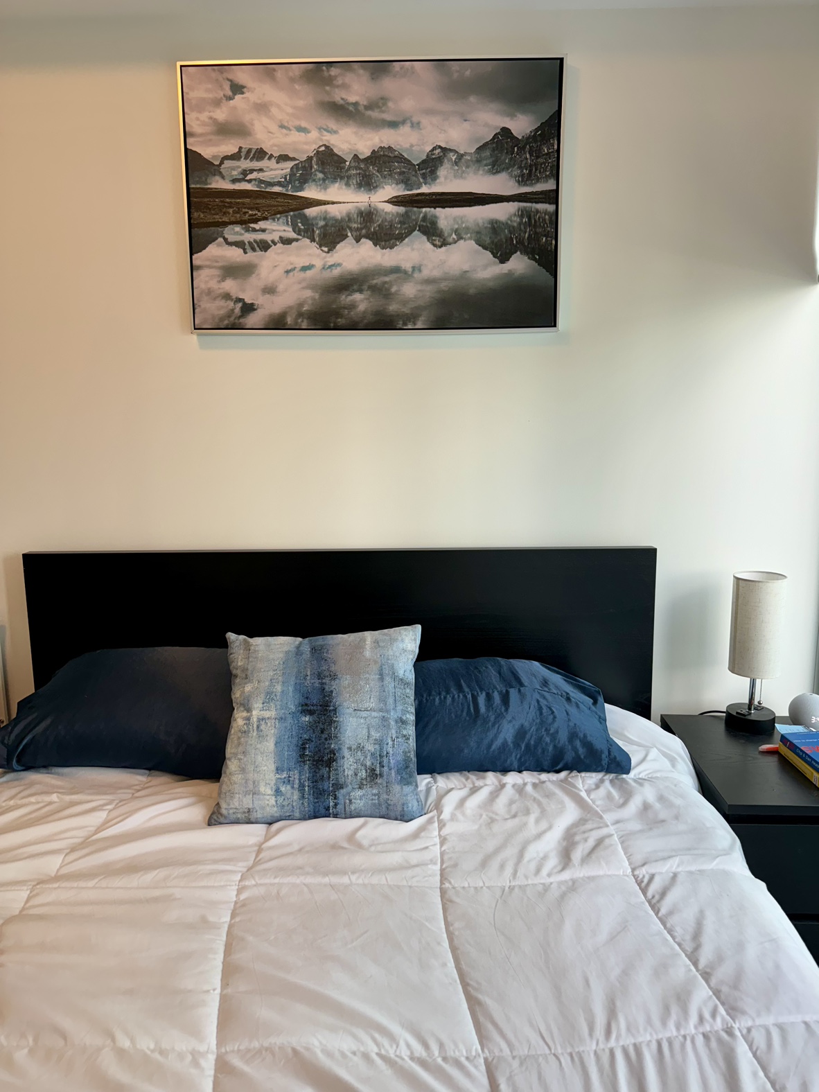 IKEA MALM Queen Bed - photo 2
