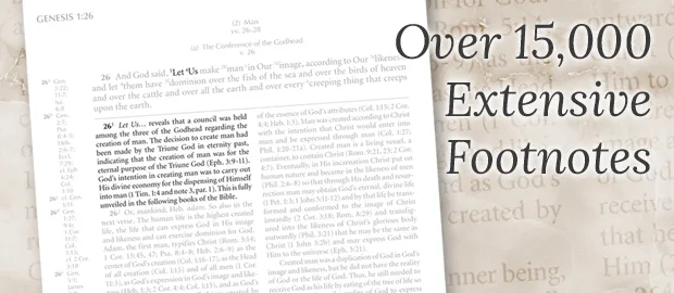 Free New Testament Study Bible #freecycle image indicator(7)