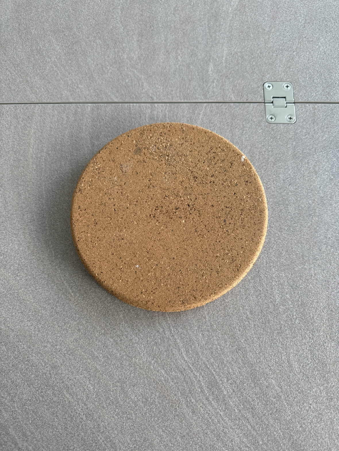 Set of 2 Cork Coasters