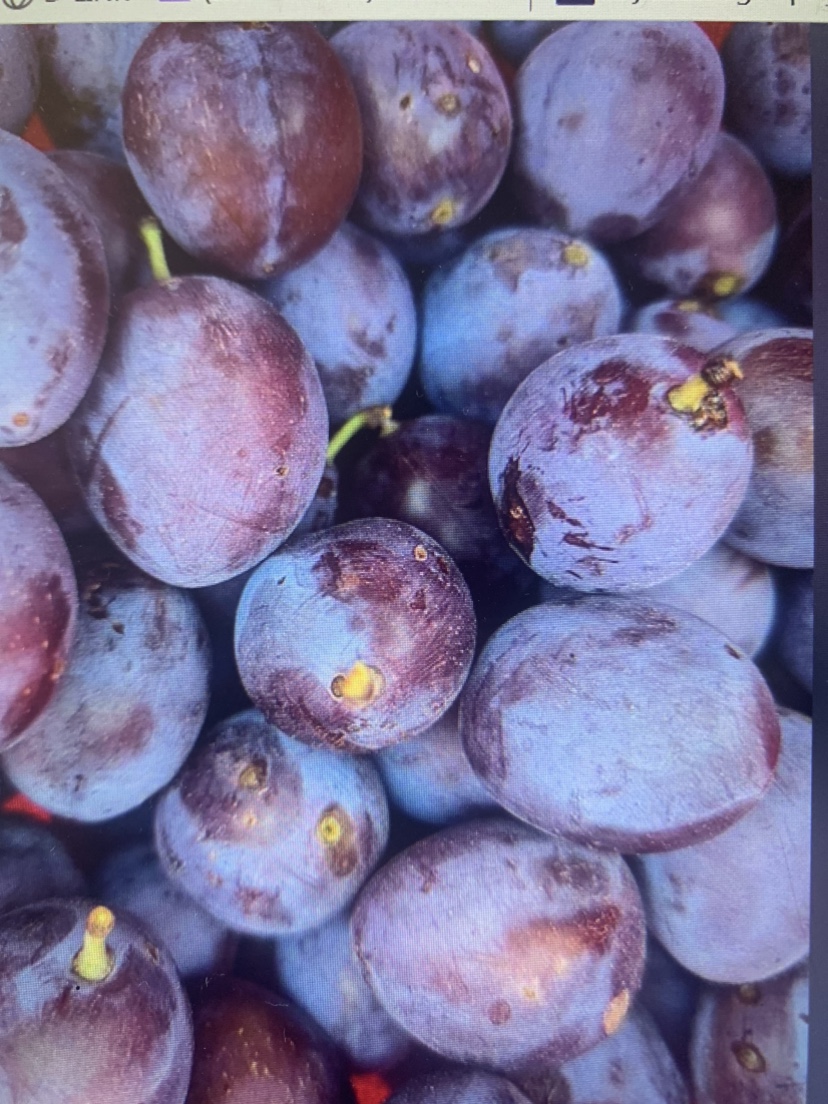 Organic European Plums💖For Limited Time Only❤️