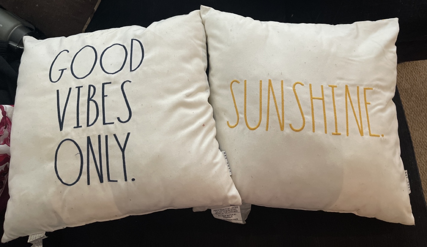 Set of two Decorative Pillows from Home Sense