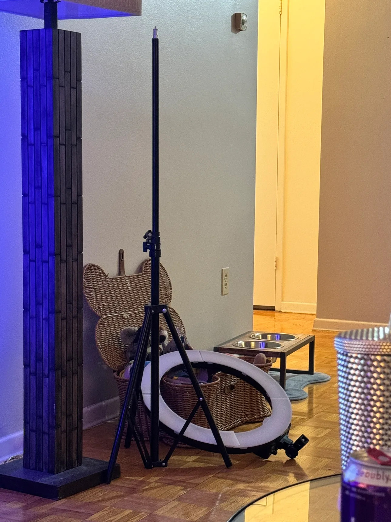 Ring Light with Stand #freecycle thumbnail