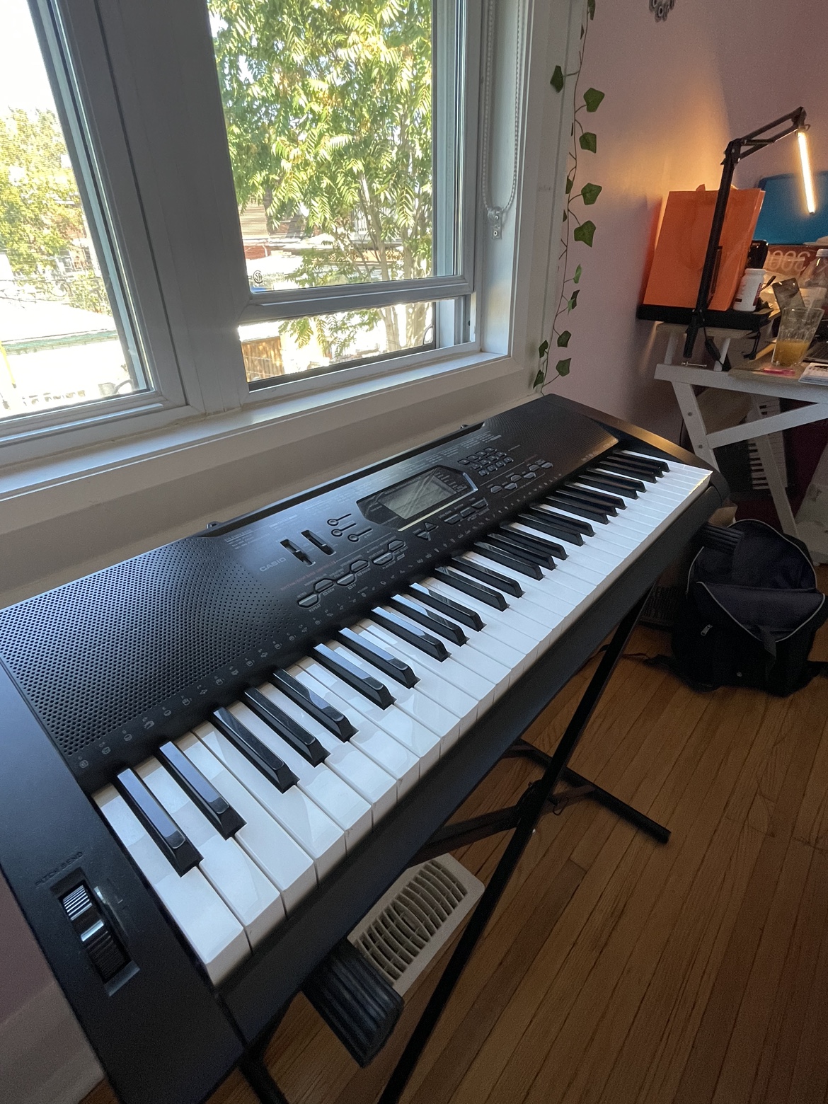 Keyboard 🎹Casio CTK-3000 + Stand - photo 2