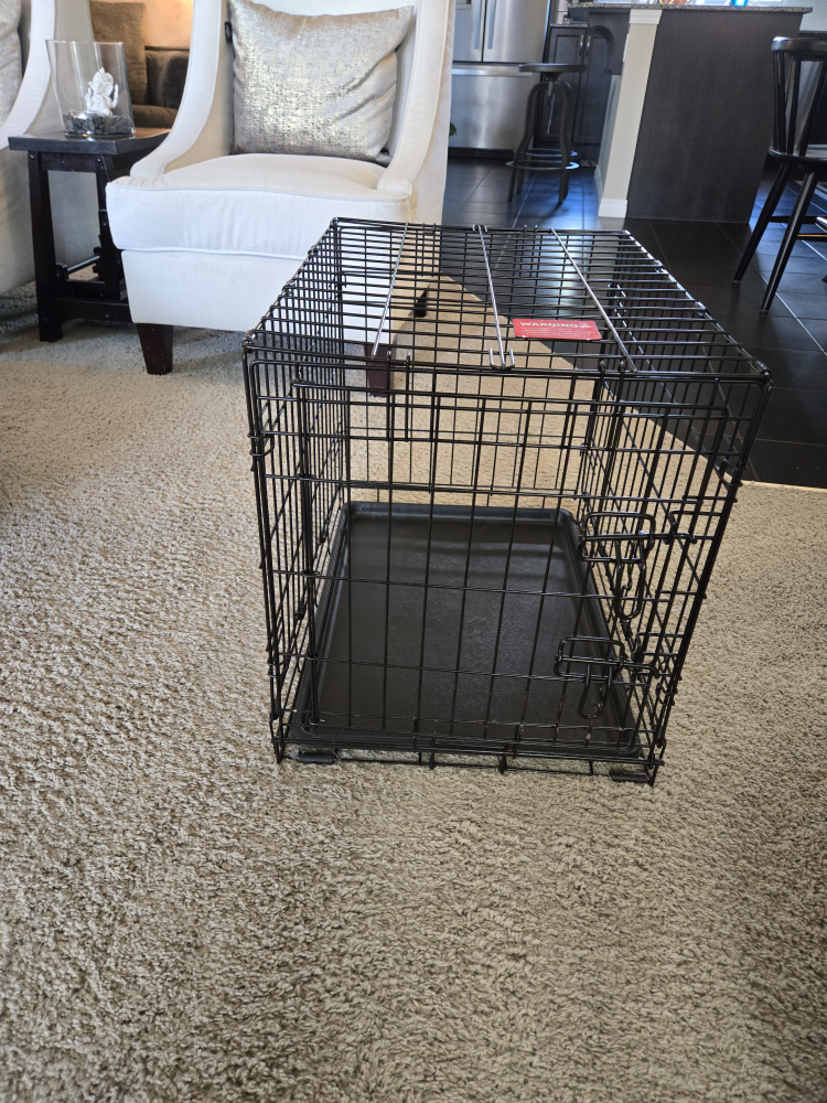 Dog Crate