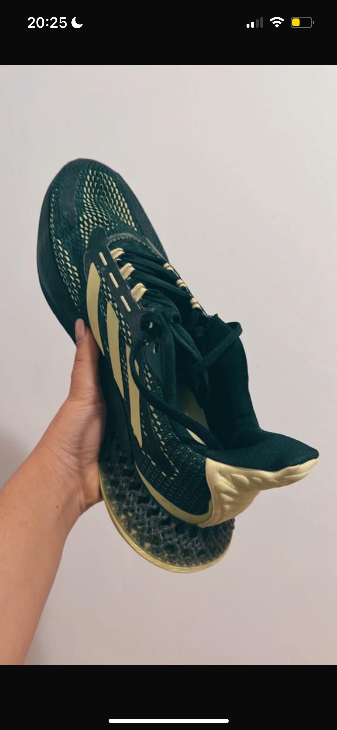 Adidas 4D Run 1.0 Shoes
