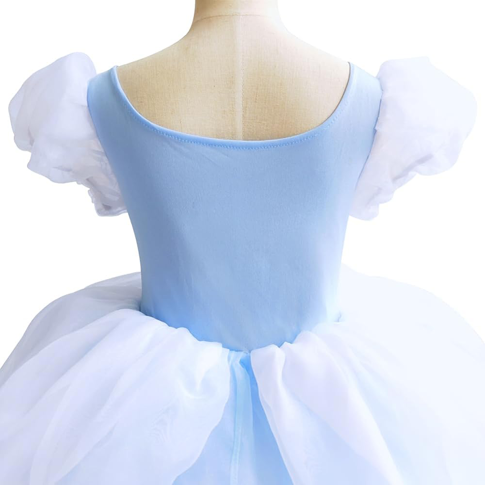 Cinderella Dress so beautiful when seen in person - photo 5