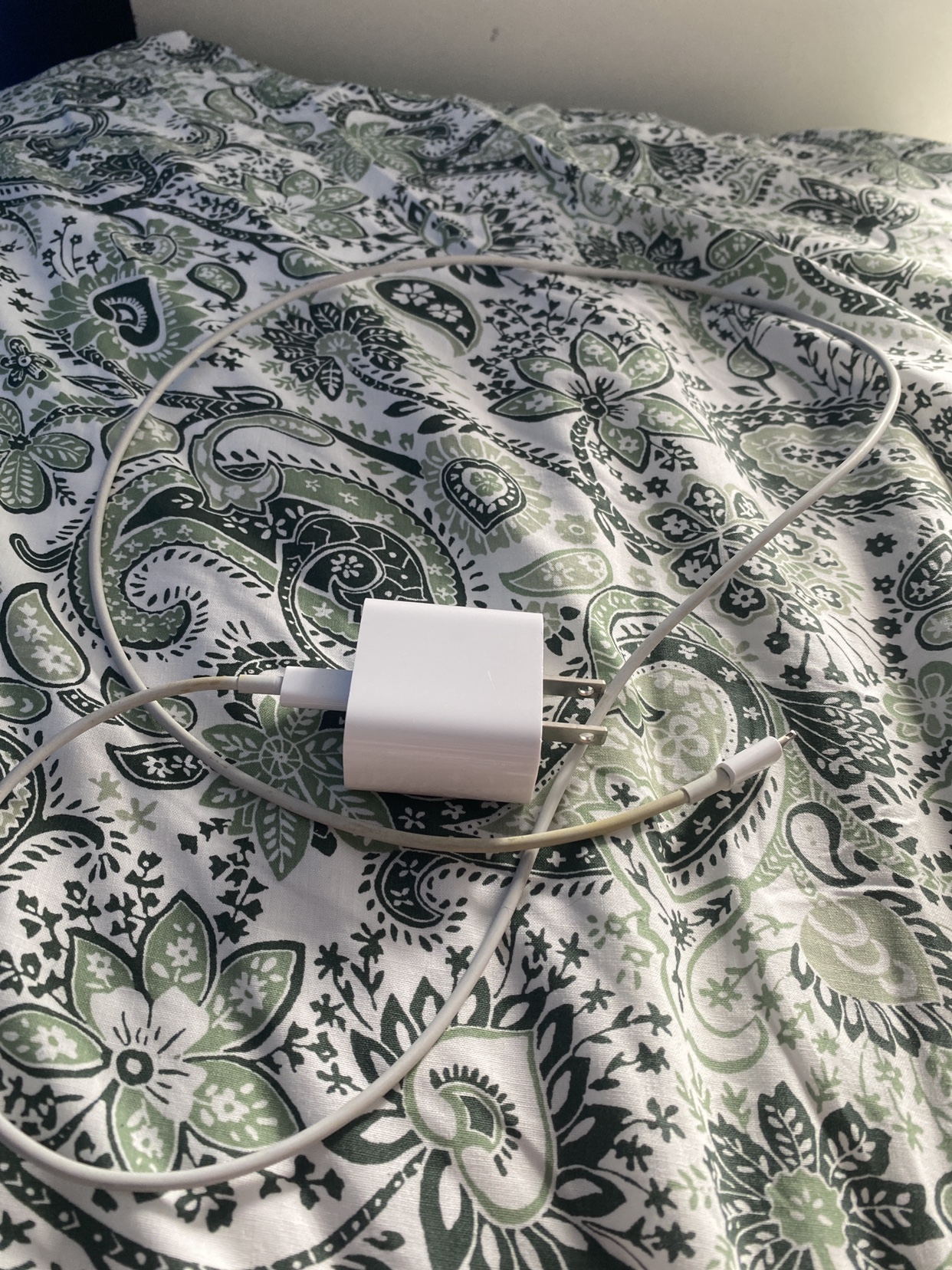 Apple Lightning to USB Cable and 20w charger - photo 2
