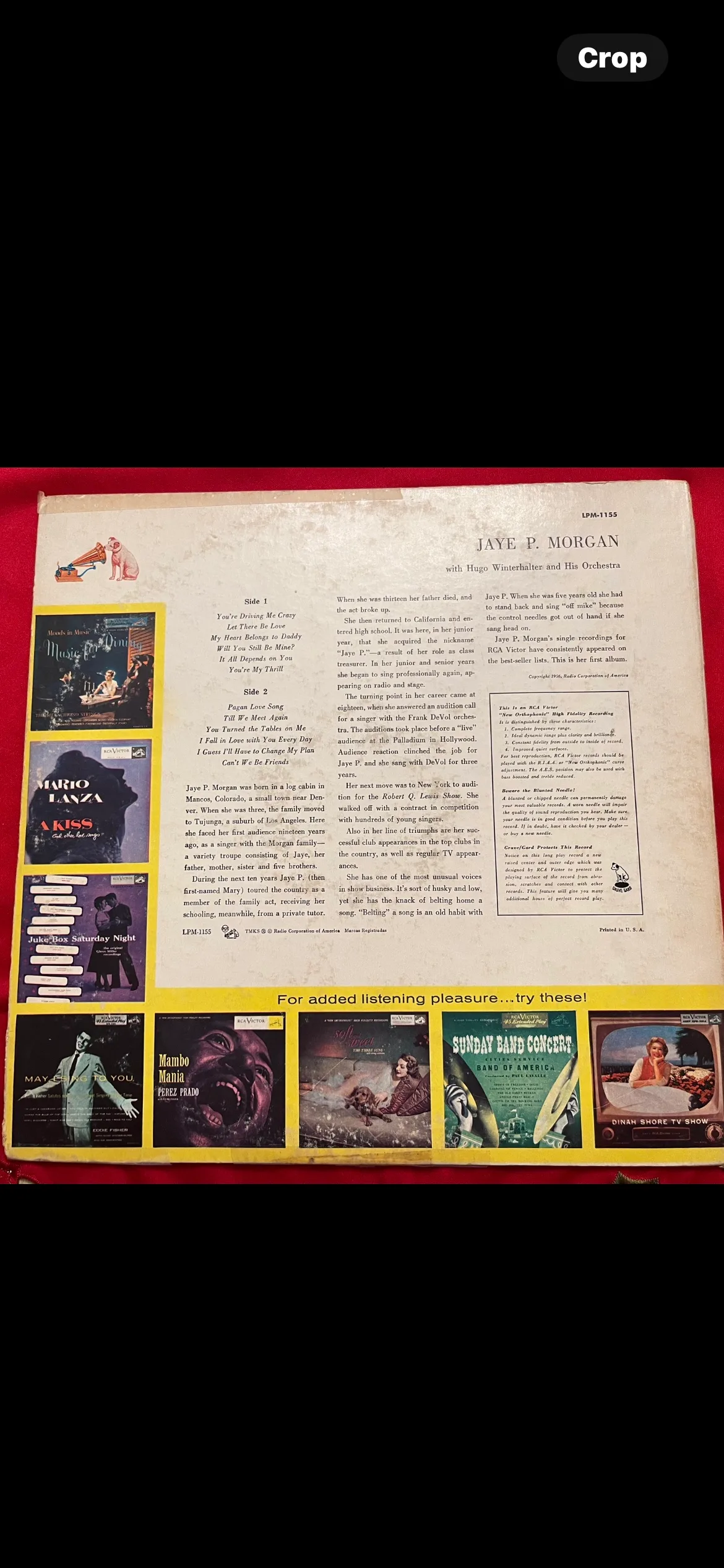 Rare Jaye P Morgan Album image indicator(2)