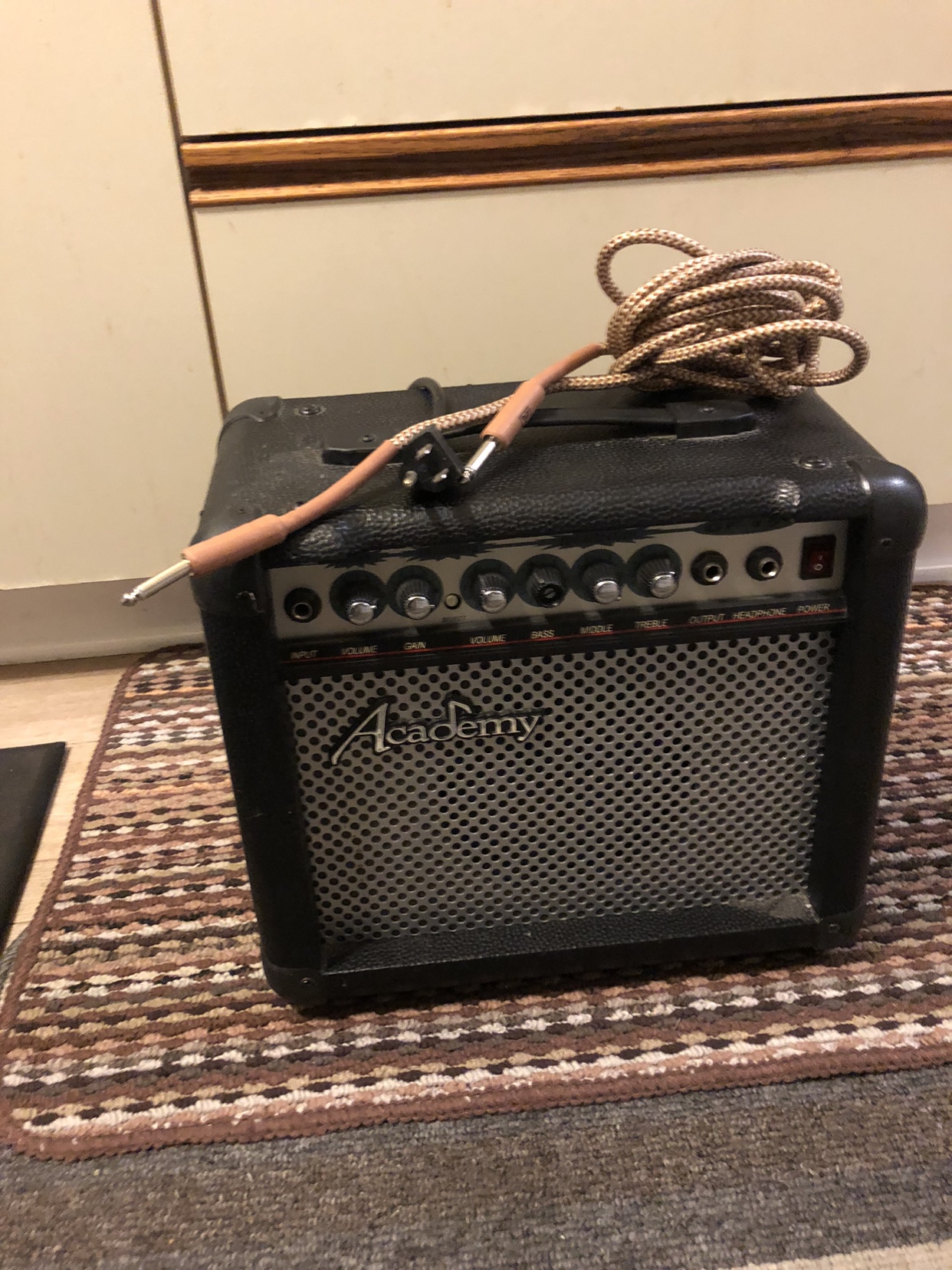 Academy Electric Guitars and Amps - photo 3